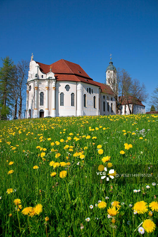 德国巴伐利亚施泰因加登：维斯朝圣教堂图片素材