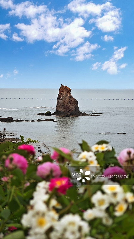 今日石老人图片素材
