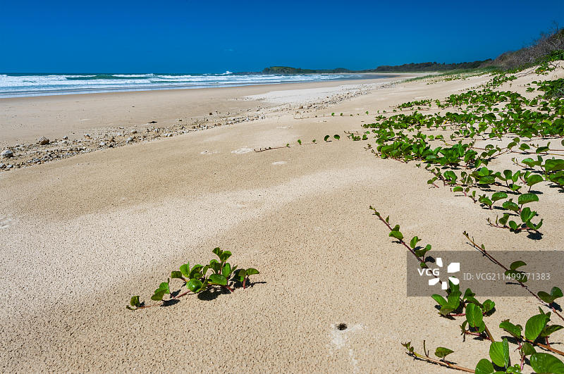 邦加隆国家公园后滩图片素材