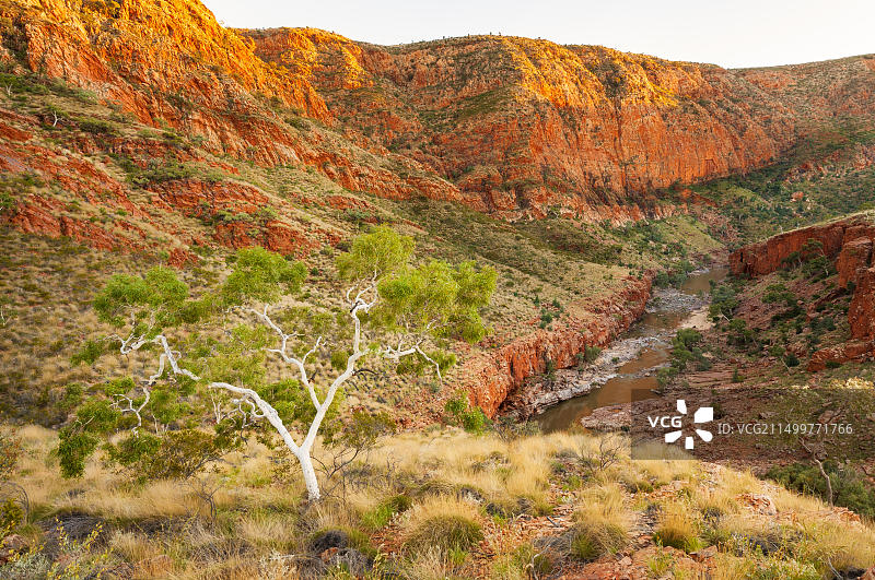 西麦克唐奈山脉壮丽的奥米斯顿峡谷图片素材