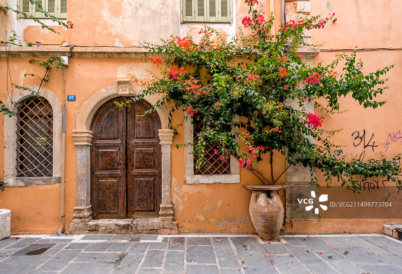 雷西姆农老城区的古老门和植物入口图片素材
