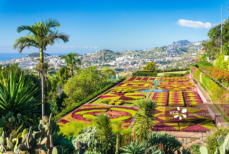 马德拉植物园（Jardim Botanico）的正式花园，位于葡萄牙马德拉丰沙尔首都上方，大西洋，欧洲图片素材