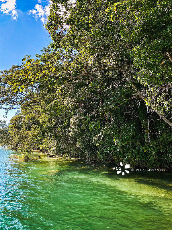 危地马拉弗朗西斯·福特·科波拉酒店图片素材