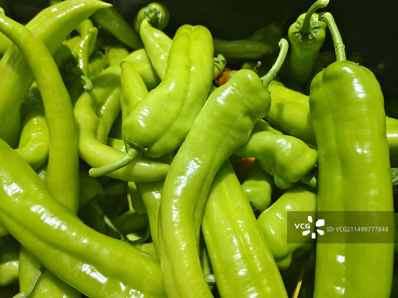 青椒 辣椒图片素材