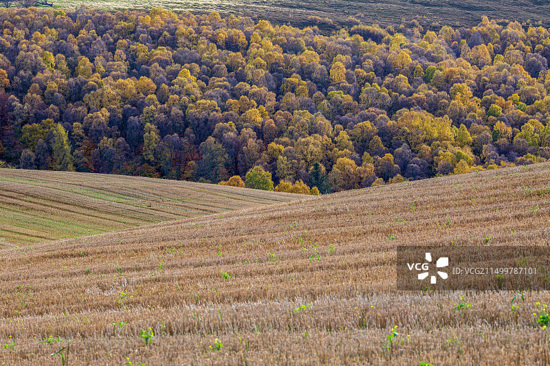苏格兰斯佩塞山丘图片素材