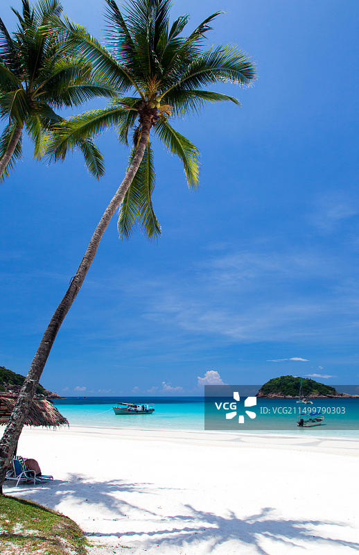 马来西亚热浪岛的白色沙滩图片素材