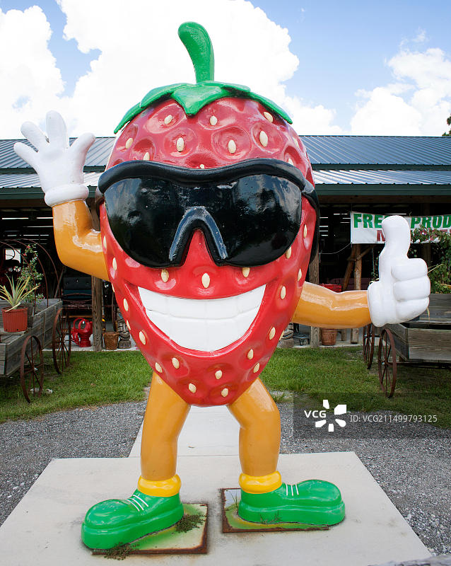 佛罗里达州阿尔瓦的草莓男人图片素材
