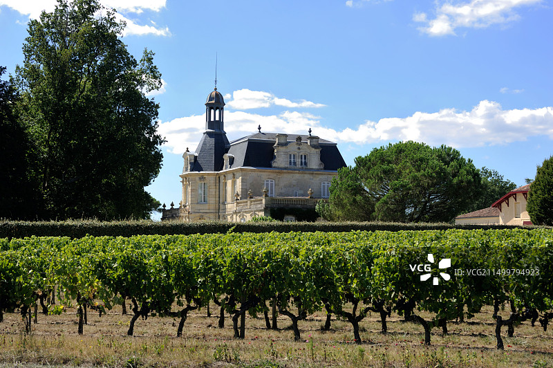 法国波尔多梅多克葡萄园：芳若酒庄图片素材