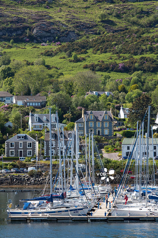 停泊在苏格兰塔伯特码头的帆船和游艇图片素材