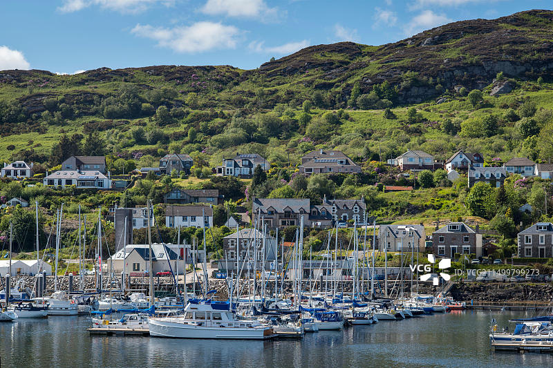 停泊在苏格兰塔伯特码头的帆船和游艇图片素材