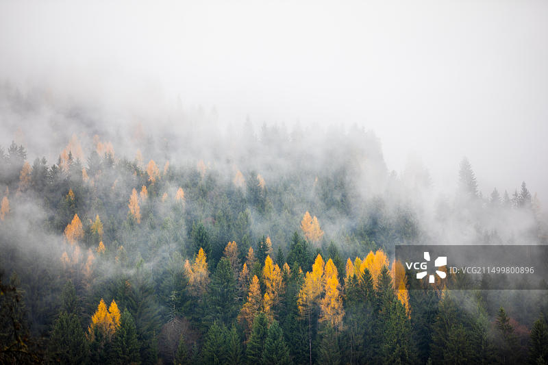 奥地利萨尔巴赫图片素材
