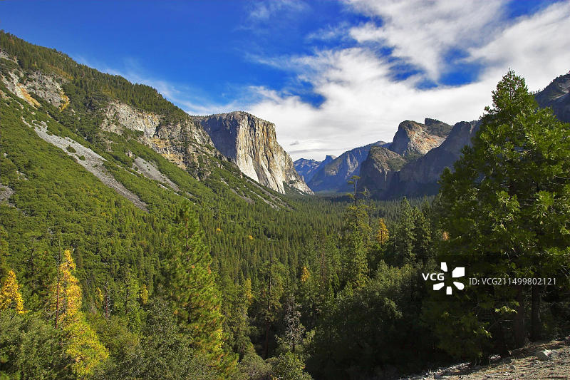 花岗岩与木材图片素材