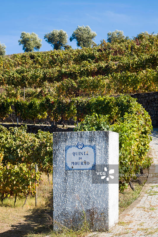 杜罗河北岸维塞乌的 Quinta do Mourao 波特酒庄园名称标志图片素材