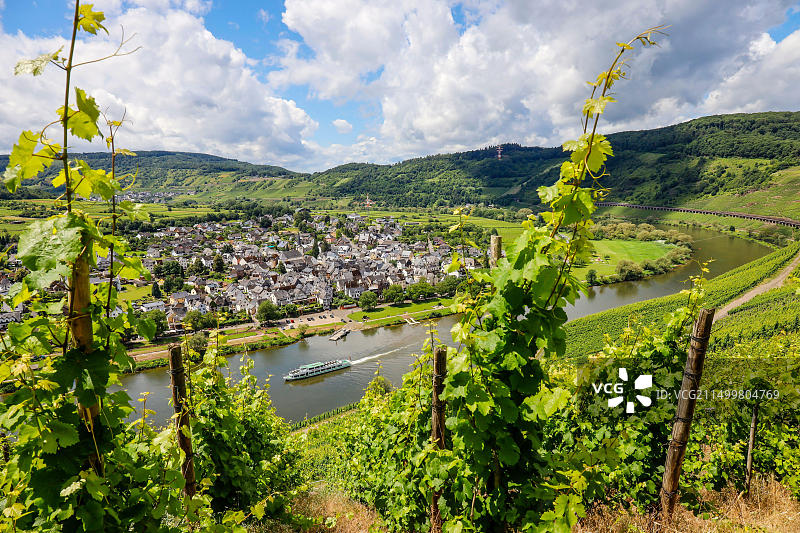 德国莱茵兰-普法尔茨州彭德里希摩泽尔河畔的葡萄园图片素材