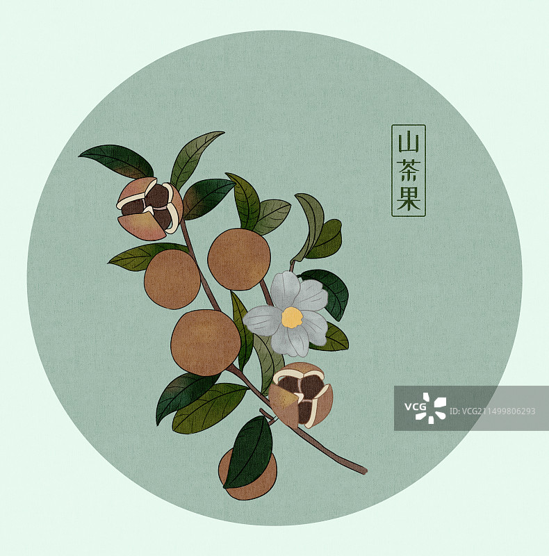 山茶花新中式复古插画图片素材