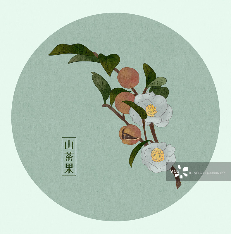 山茶花新中式复古插画图片素材