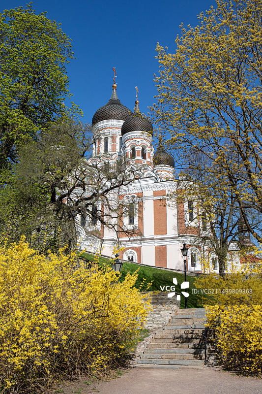 科曼丹迪花园的楼梯通往俄罗斯复兴风格的亚历山大·涅夫斯基大教堂,在爱沙尼亚塔林Vanalinn老城一个阳光明媚的春日图片素材