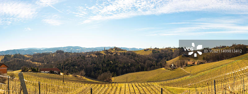 葡萄园全景：莱布尼茨地区南施蒂利亚旅游景点图片素材