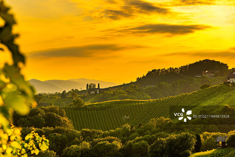 夏季奥地利葡萄山葡萄酒之路景色图片素材