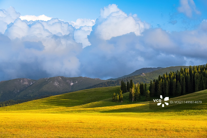 大美新疆美丽的赛里木湖边图片素材