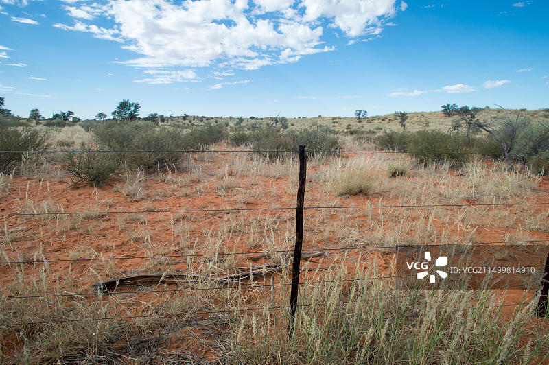 纳米比亚：非洲景观前的栅栏，蓝天图片素材