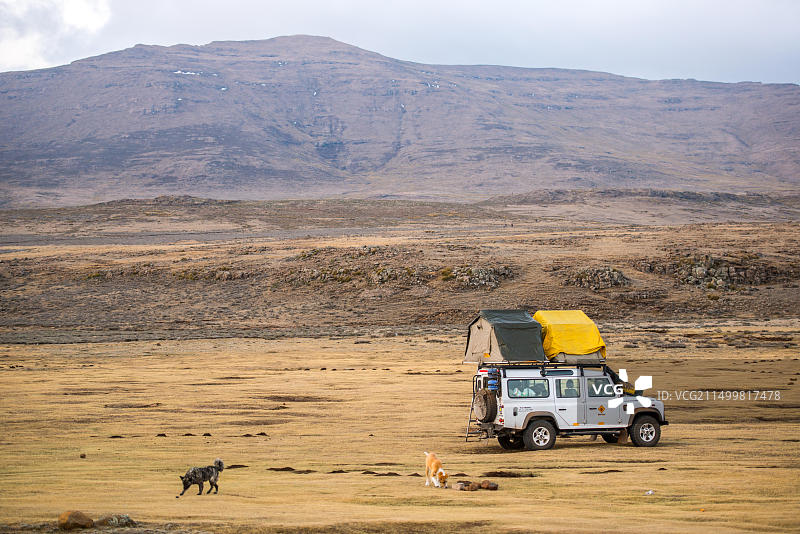 停在非洲莱索托萨尼山口的露营帐篷旁的路虎卫士，有2只狗在周围奔跑图片素材