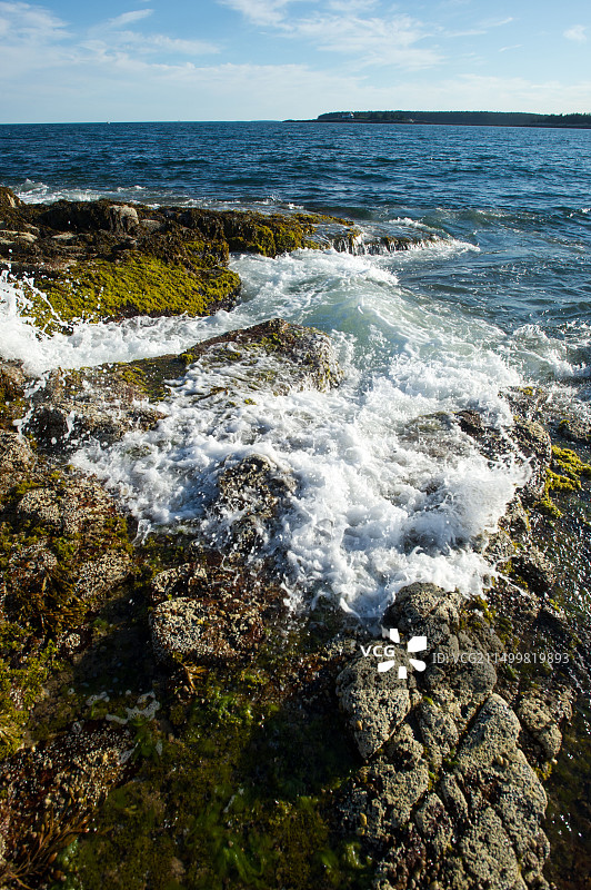 阿卡迪亚国家公园海岸图片素材