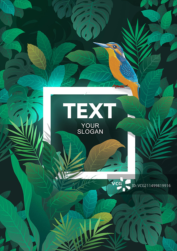 神秘花园图片素材