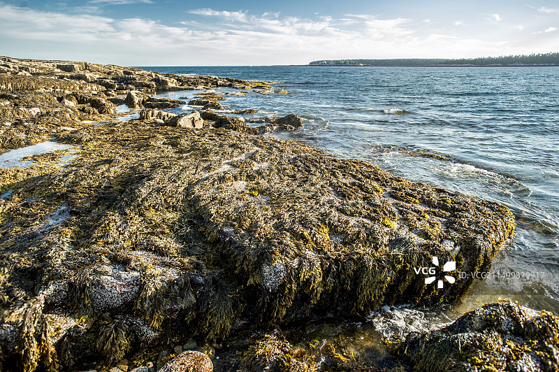阿卡迪亚国家公园海岸图片素材