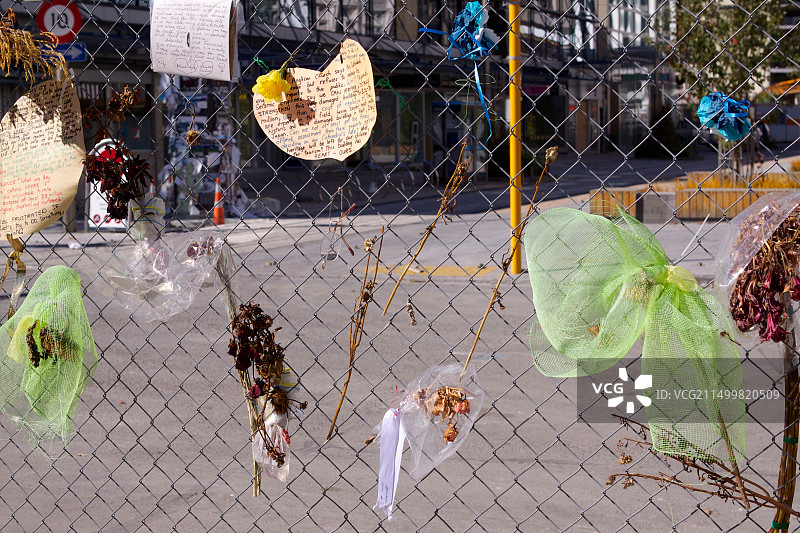 新西兰南岛基督城旅行图片素材