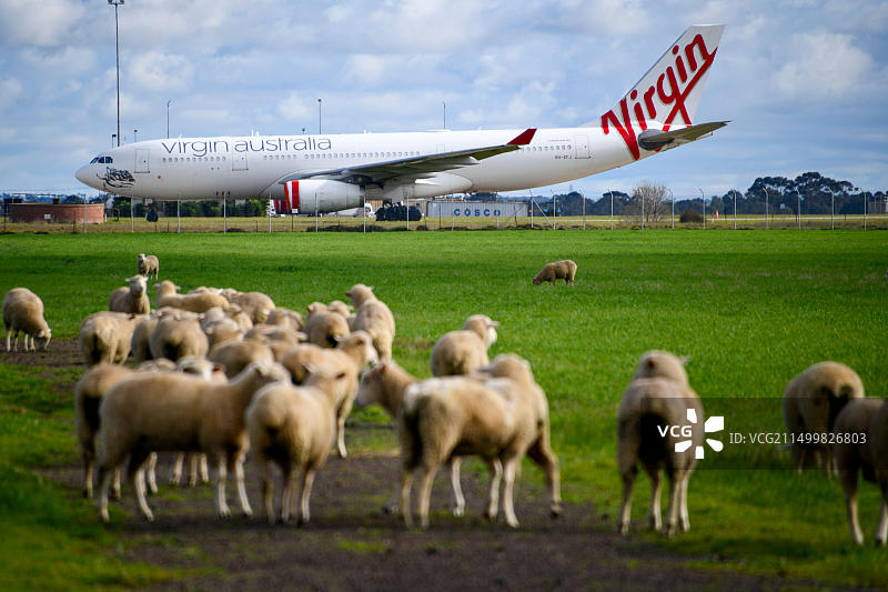 受新冠疫情旅行禁令影响，维珍航空飞机停飞跑道图片素材