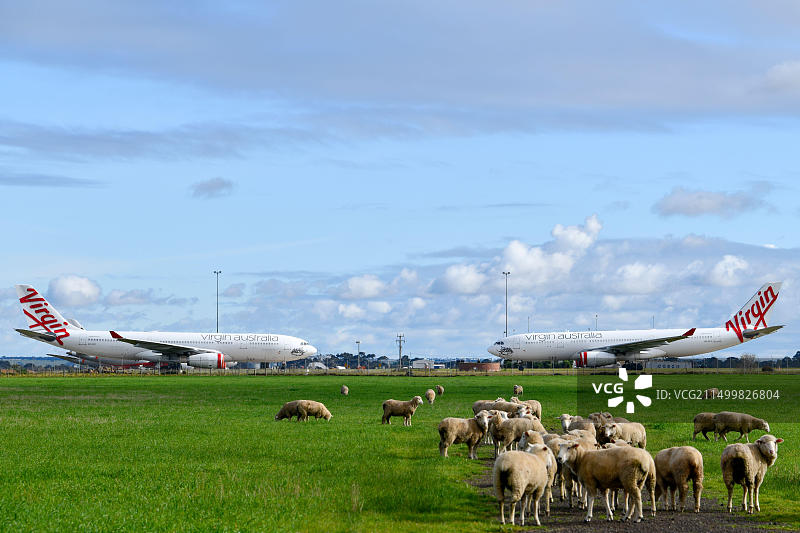 受新冠疫情旅行禁令影响，维珍航空飞机停飞跑道图片素材