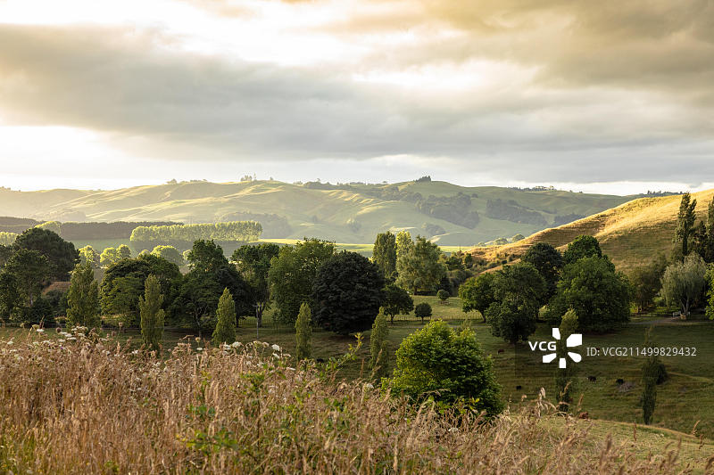 新西兰乡村风光图片素材