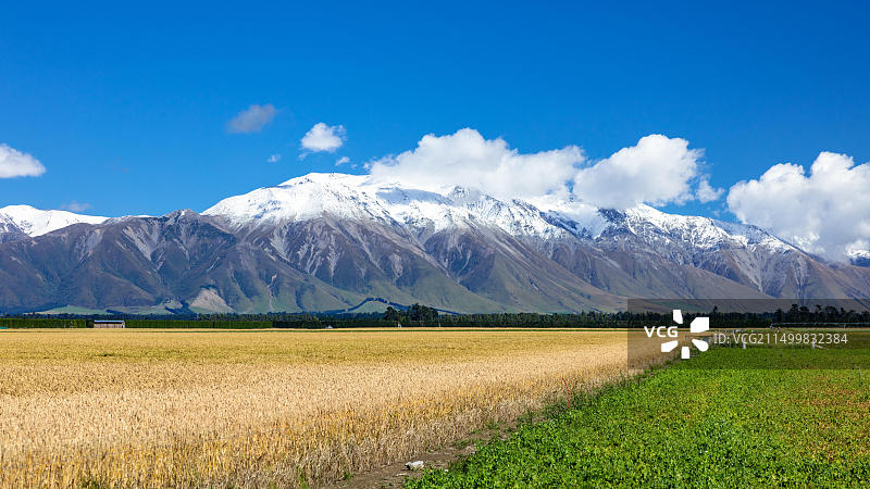 新西兰南岛泰勒山和哈特山风光图片素材