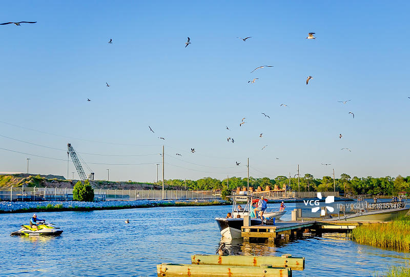 2021年4月25日，在密西西比州帕斯卡古拉的Point Park，水上摩托艇和船夫启动时，海鸥聚集图片素材