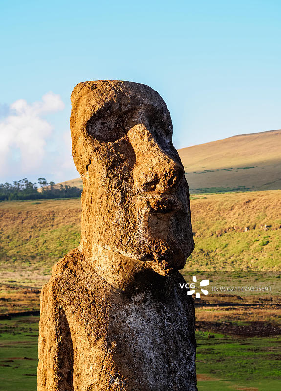 拉帕努伊国家公园的复活节岛石像图片素材