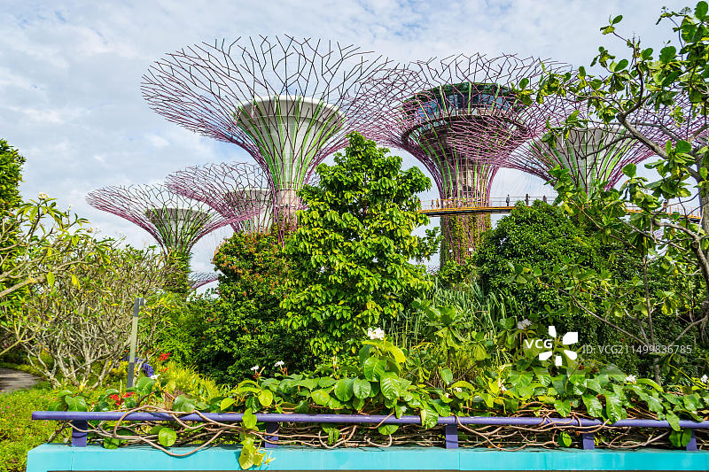 新加坡滨海湾花园图片素材