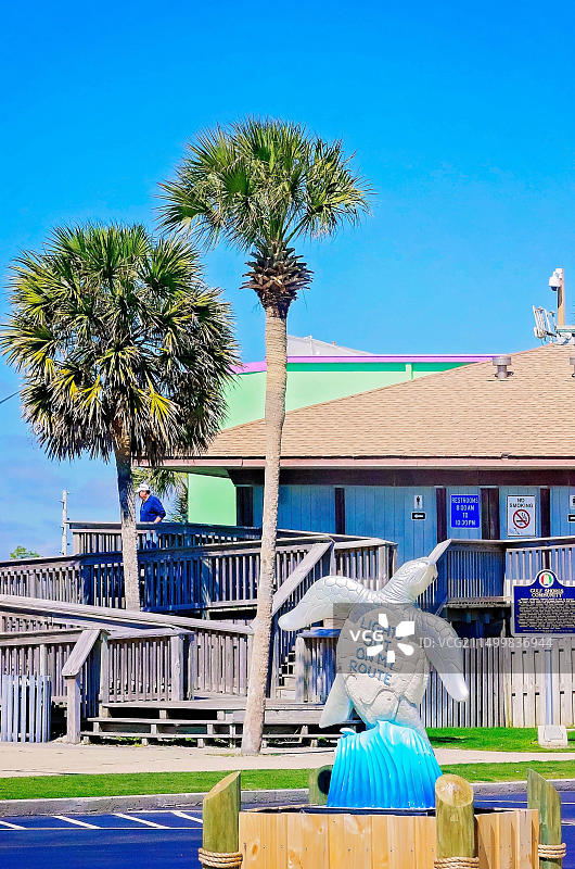 海湾海岸的乌龟雕塑公共艺术项目图片素材