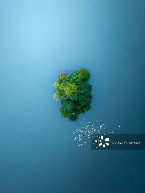 湖中小岛图片素材