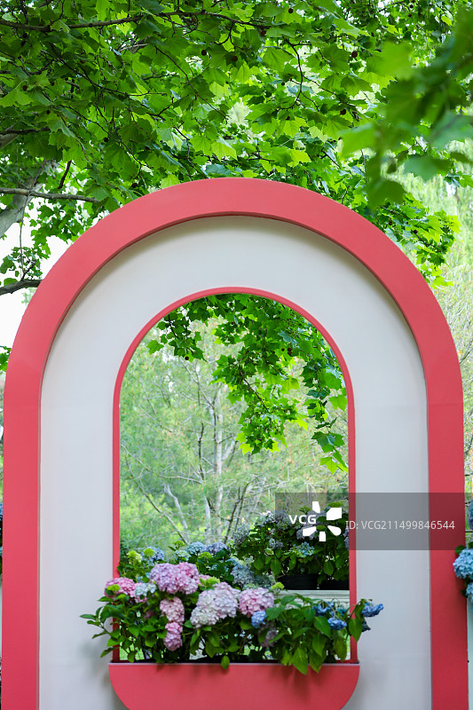 无尽夏盛开如花海 世界花卉大观园打造浪漫图片素材