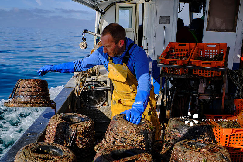 法国诺曼底芒什省格朗维尔：捕捞海螺图片素材