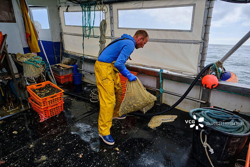 法国诺曼底芒什省格朗维尔：捕捞海螺图片素材