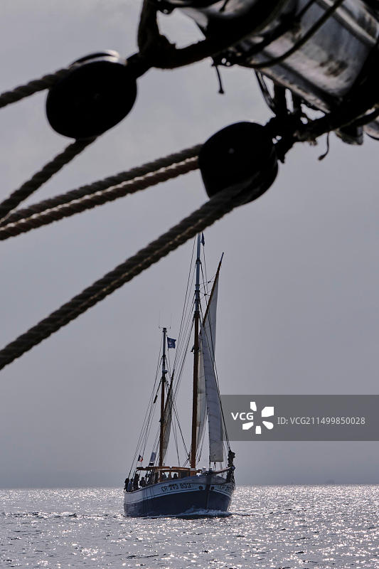 法国诺曼底芒什省肖赛群岛黑色百合号帆船巡游图片素材