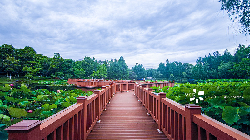 鄞州公园一景图片素材