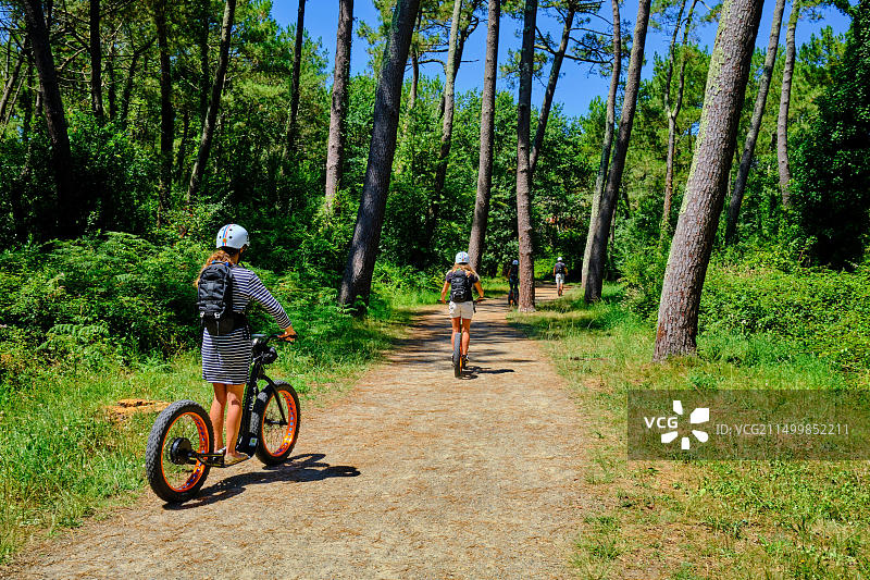 法国比利牛斯-大西洋省巴斯克地区昂格莱的皮尼亚达松树林图片素材