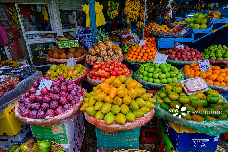 毛里求斯威廉平原区居尔皮普：大型市场图片素材