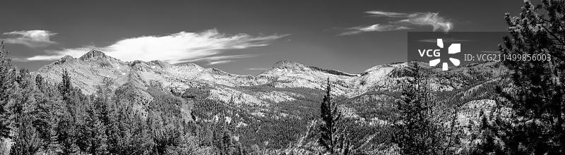 内华达山脉美国加利福尼亚州国家森林公园的山脉和森林图片素材