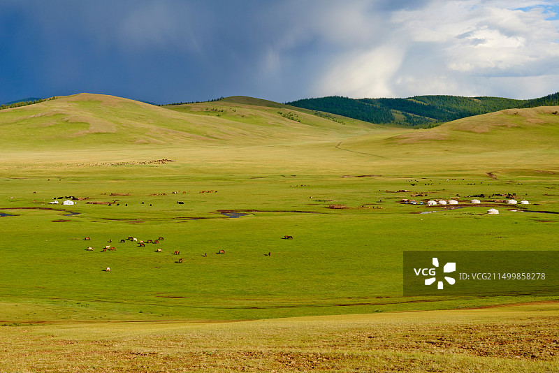 蒙古国后杭爱省游牧营地图片素材