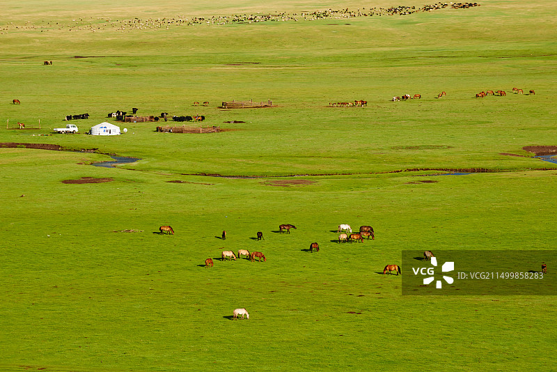 蒙古国后杭爱省游牧营地图片素材