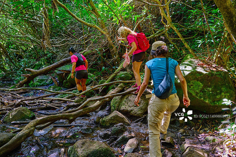 毛里求斯威廉平原区，亨利埃塔，塔马林河七瀑布徒步旅行图片素材